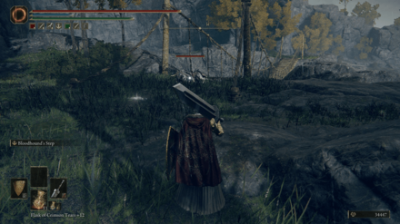 Bloodstained Dagger Location.png