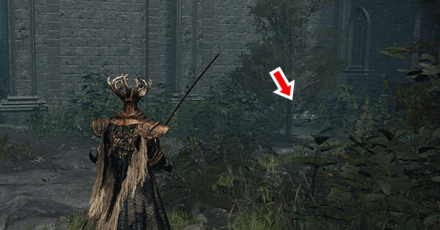 Elden Ring - Located at Raya Lucaria Academy Overworld