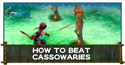 Cassowaries Banner