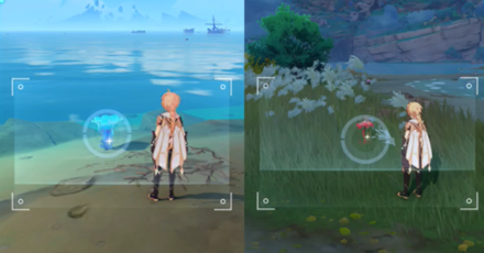 Genshin - Use the Camera Function