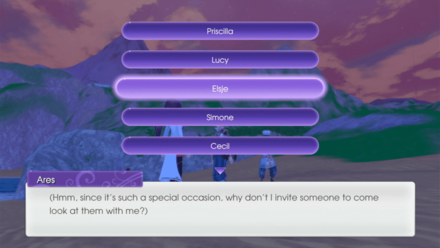 Rune Factory 5 - Seaside Lights Festival Info.png