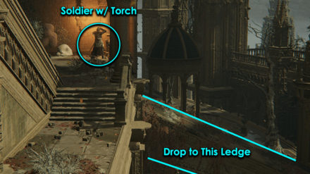 First Ledge to Seedbed Curse