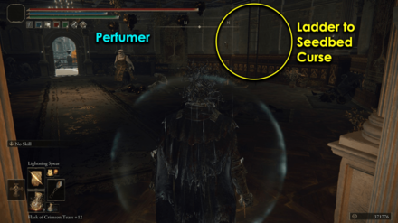 Seedbed Curse Near the East Capital Rampart