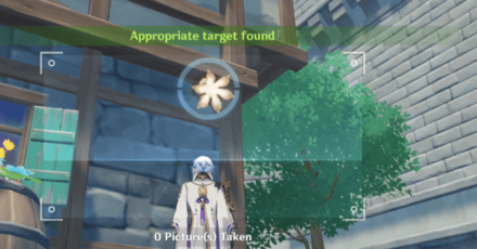 Genshin - Use the Camera Function