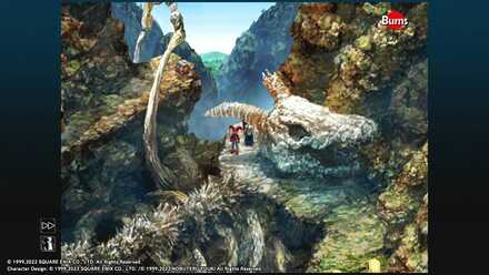 Infrared Vision Frame Location