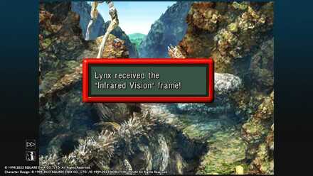 Get Infrared Vision Frame