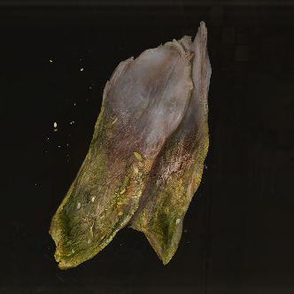 Immunizing White Cured Meat Icon