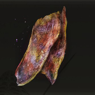 Dappled White Cured Meat Icon