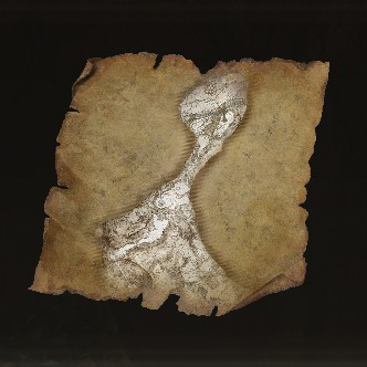 Map: Mountaintops of the Giants, West Icon