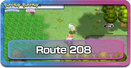 route 208.png