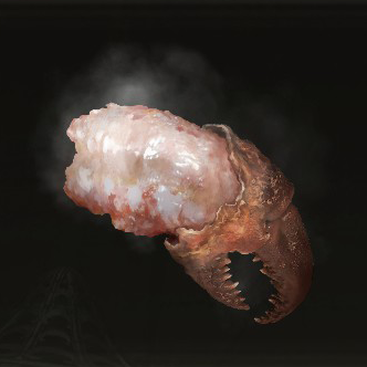 How to Get Boiled Crabs: Effects and Locations | Elden Ring｜Game8