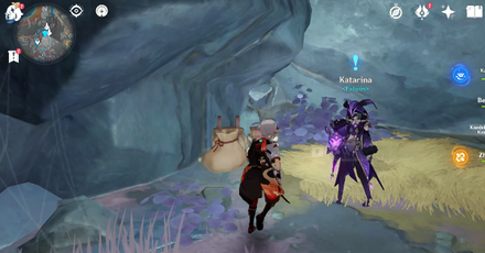 Genshin - Lost in a Foreign Land Seeking Walkthrough 1