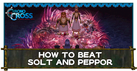 Solt and Peppor Banner