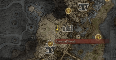 Elden Ring - Dropped by Ancestral Follower Shamans Map