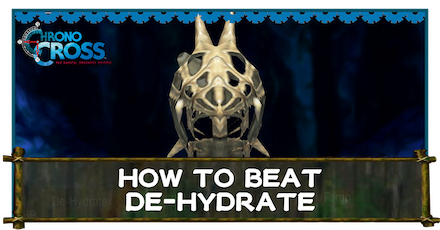 De-Hydrate Banner