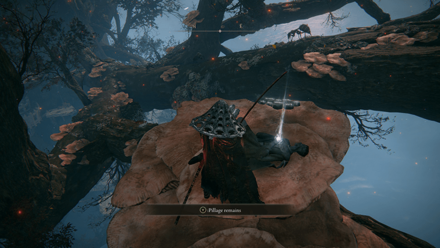 Elden Ring - Prattling Pate My beloved Location