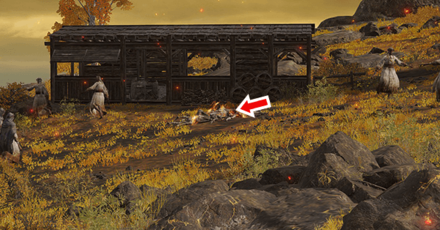 Elden Ring - Located at East Windmill Pasture Overworld