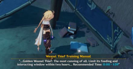 Genshin - Stolen Ring from Taliesin Puzzle Walkthrough 2