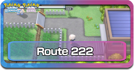 route 222.png