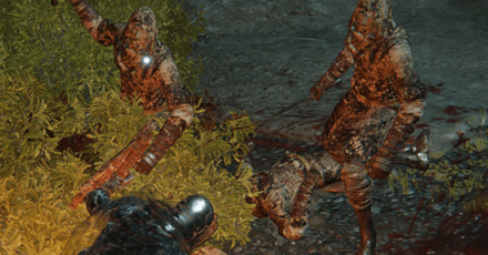 Elden Ring - Located at Murkwater Cave Overworld