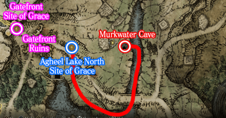 Elden Ring - Obtained From Patches Map