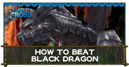 Black Dragon Banner