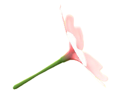 Cherry-Blossom Umbrella Icon