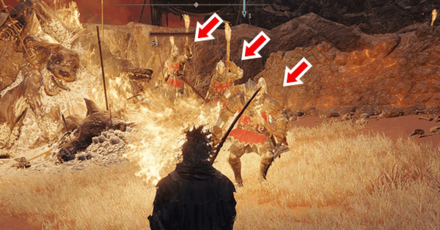 Elden Ring - Dropped by Radahn Soldiers Overworld