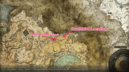 Elden Ring - How to Get Twinbird Kite Shield.png