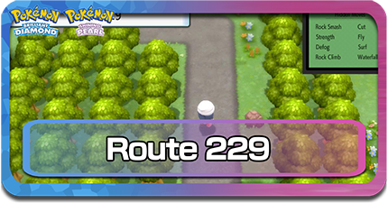 route 229.png