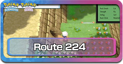 route 224.png