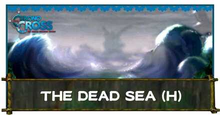 The Dead Sea Home.jpg