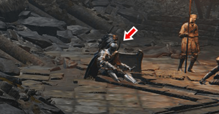 Elden Ring - Dropped by Cuckoo Knights Overworld