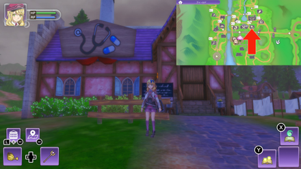 Rune Factory 5 - Rigbarth Clinic