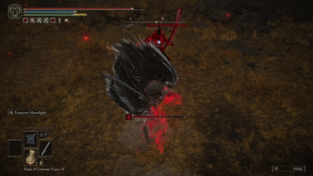 Eleonora bleed buildup