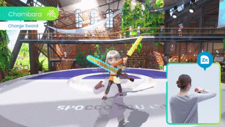 NS Sports - Charge Sword Guard