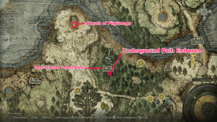 Elden Ring - How To Get Shield of the Guilty