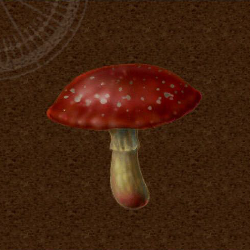 Mushroom Icon