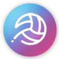 Switch Sports Volleyball