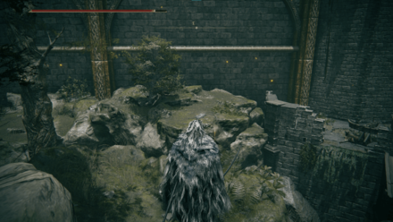Elden Ring - Arbalest Location Step 4