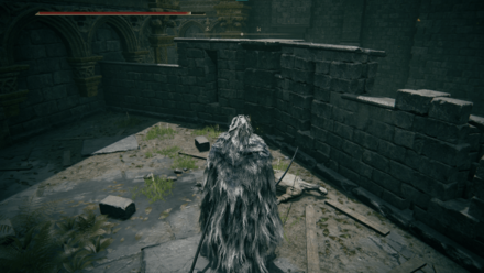 Elden Ring - Arbalest Location Step 5