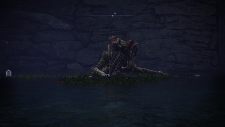 Elden Ring - Dragonkin Soldier (Siofra River) Location