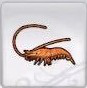 Rune Factory 5 - Shrimp
