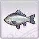 Rune Factory 5 - Crucian Carp