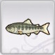 Rune Factory 5 - Masu Trout