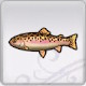 Rune Factory 5 - Rainbow Trout