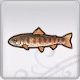 Rune Factory 5 - Cherry Salmon
