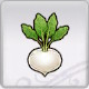 Rune Factory 5 - Turnip
