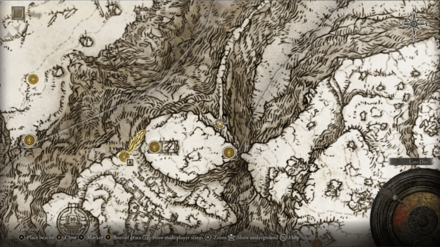 Thorned Whip Location.png