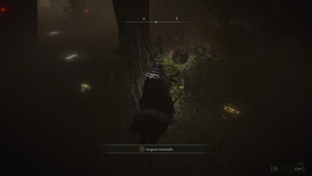 Elden Ring - Scarab 51 World View